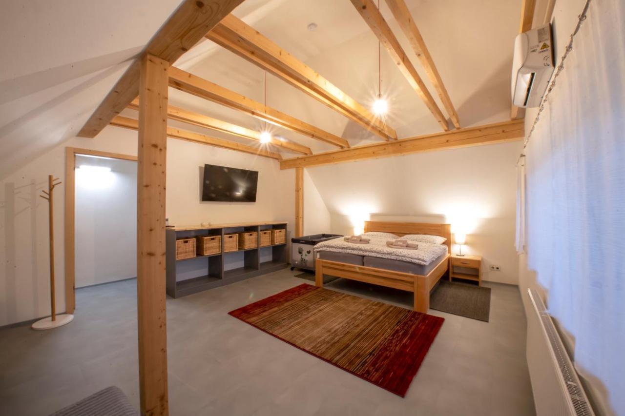 Apartment U Jizery